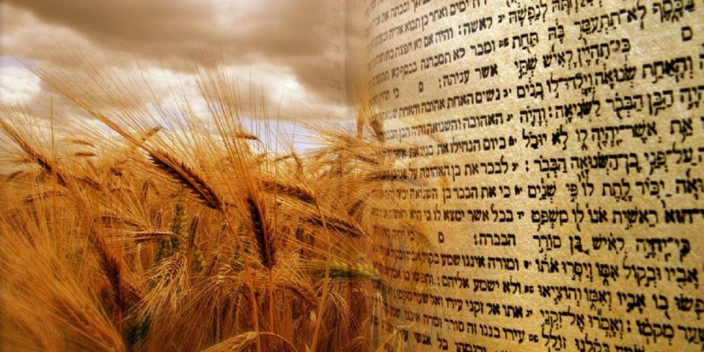 This image has an empty alt attribute; its file name is shavuot-1024x512.jpg
